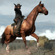 Illustration for article titled Remembering A Red Dead Horse